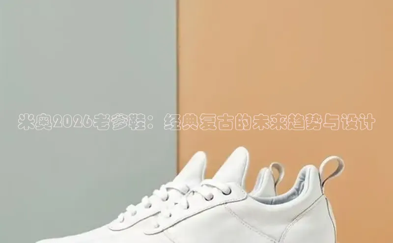 蜘蛛足球直播免费观看高清